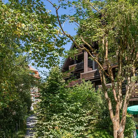 Im Gruebi Appartement
